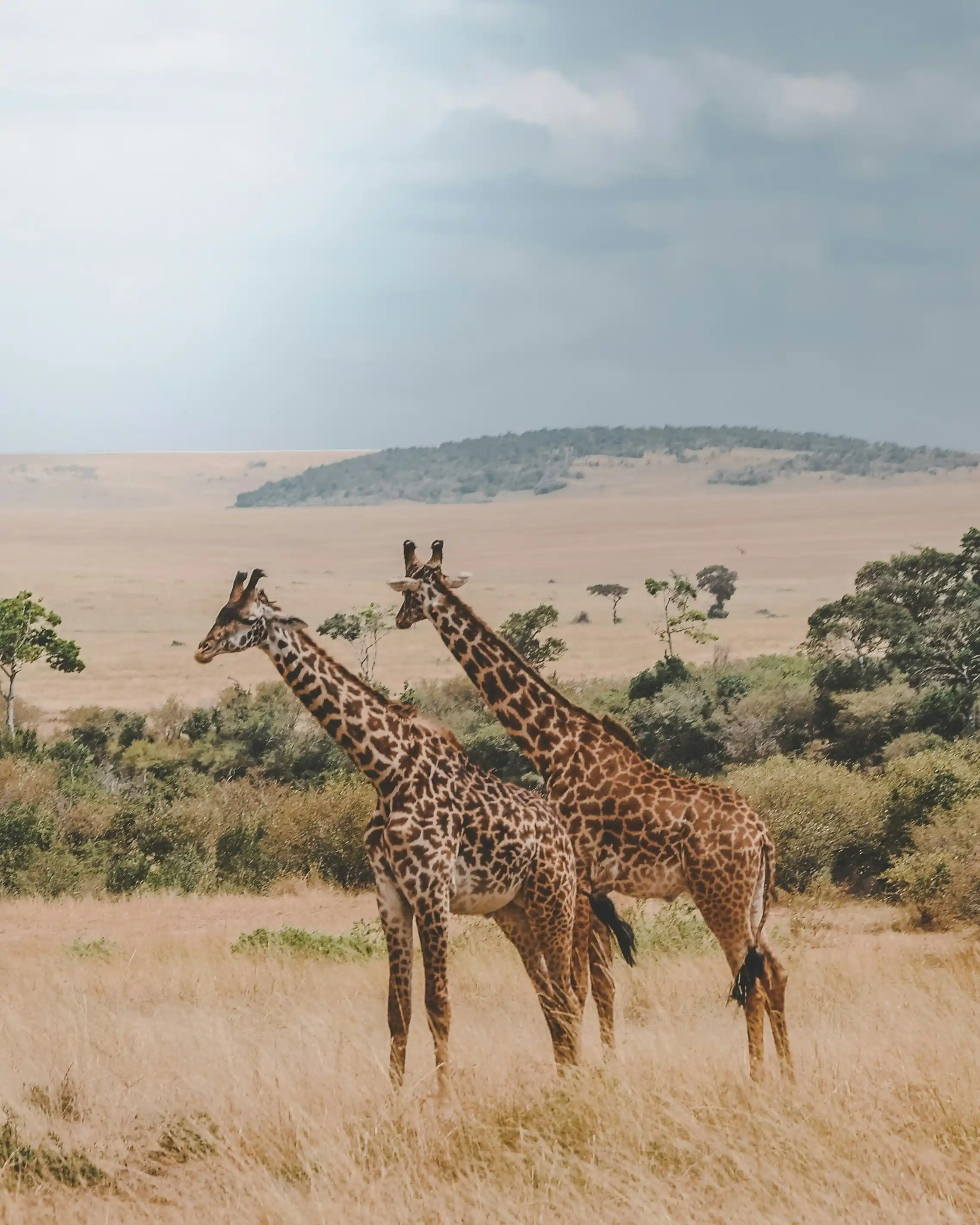 Kenya