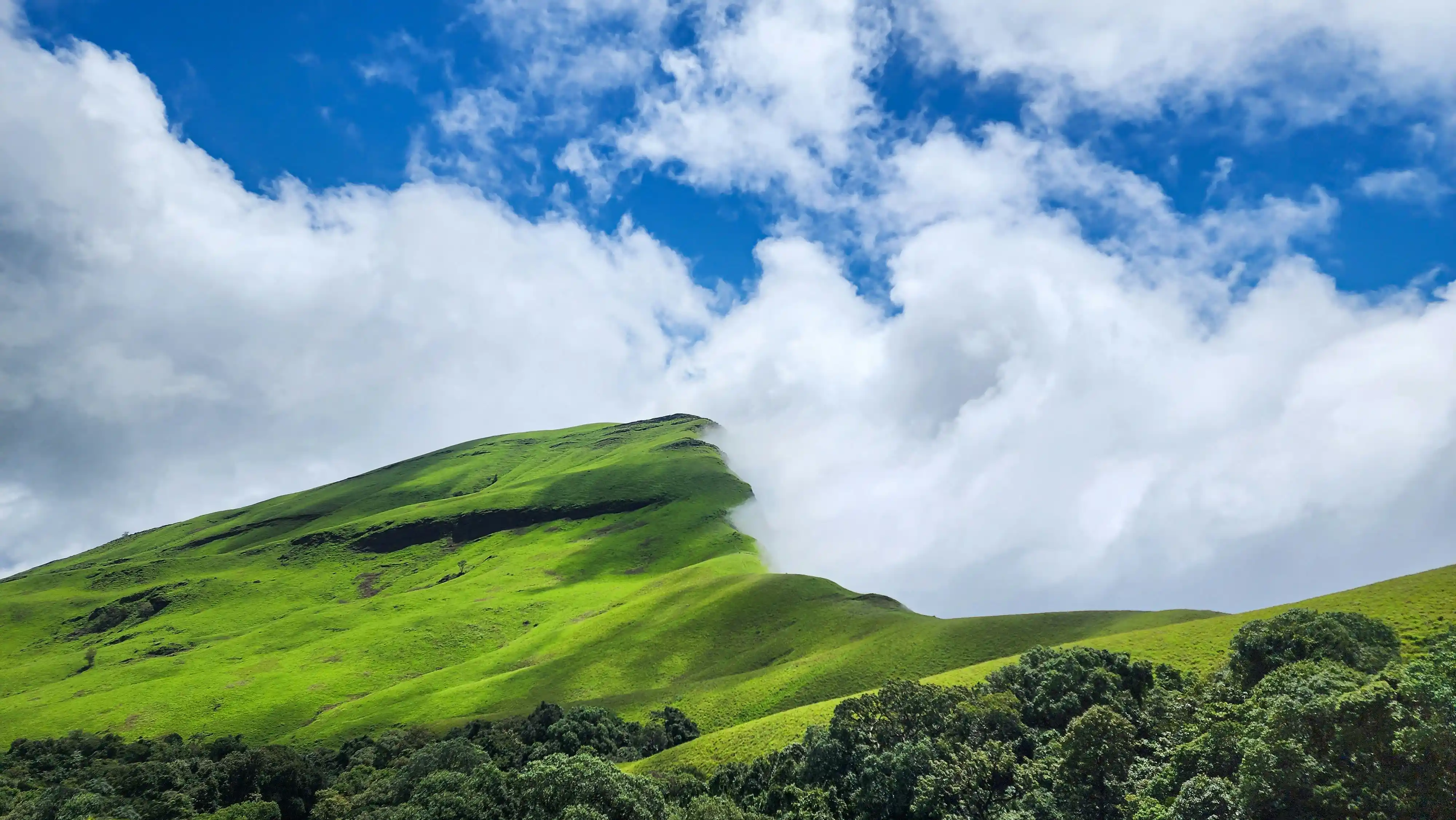 Chikmagalur Escape: 4 Days of Hills, Coffee & Waterfalls