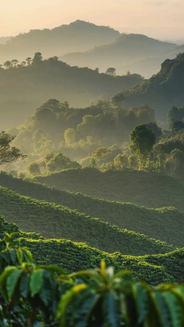 The Mystical Hills of Coorg