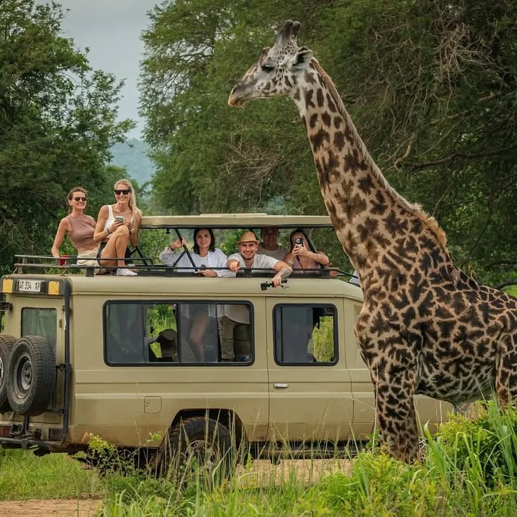 Tanzania Wild Life Tours