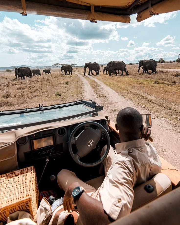 7 Days Tanzania –Wild Life Tour
